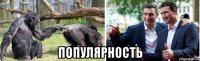  популярность