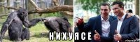  н и х у я с е