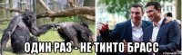  один раз - не тинто брасс