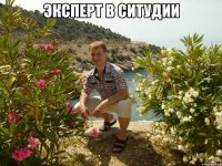 эксперт в ситудии 