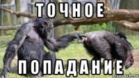 т о ч н о е п о п а д а н и е