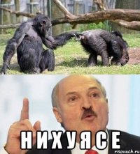  н и х у я с е