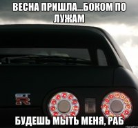 Весна пришла...боком по лужам Будешь мыть меня, раб