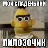 МОЙ СЛАДЕНЬКИЙ ПИЛОЗОЧИК