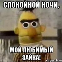 Спокойной ночи, мой любимый зайка!