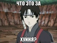 Что это за Хуйня?