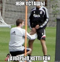 жәй Ұсташы ауырып кетті ғой