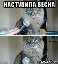 Наступила весна 
