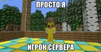 Просто я игрок сервера