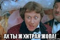  ах ты ж хитрая жопа!