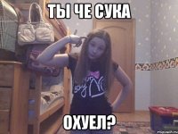 Ты че сука охуел?