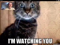  I'm watching you