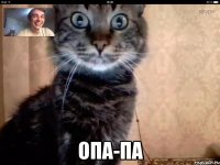  опа-па