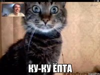  ку-ку ёпта