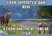 Свою зарплату отдаю жене а свою она тратит тоже на себя