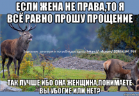 Если жена не права,то я всё равно прошу прощение так лучше ибо она Женщина,понимаете вы убогие или нет?