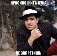 красиво жить сука не запретишь