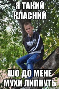 я такий класний шо до мене мухи липнуть