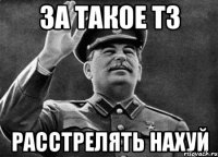 за такое ТЗ 