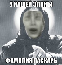 У нашей Элины фамилия паскарь