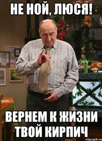 Не ной, люся! Вернем к жизни твой кирпич