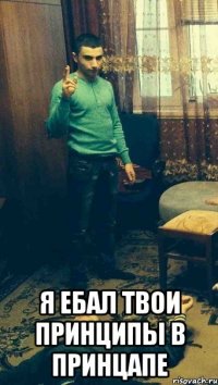  я ебал твои принципы в принцапе