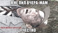 я не пил вчера, мам честно
