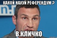 какой нахуй референдум ? в.кличко