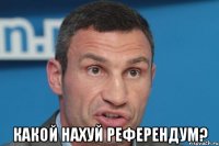  какой нахуй референдум?