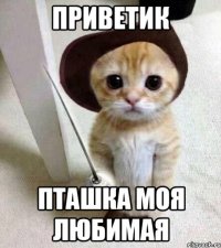 приветик пташка моя любимая