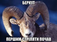 Беркут Першим стріляти почав