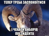Тепер треба заспокоїтися І чекати виборів президента