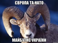 європа та нато майбутнє україни