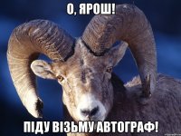 о, ярош! піду візьму автограф!