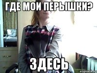 Где мои перышки? ЗДЕСЬ