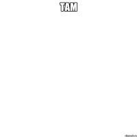 ТАМ 
