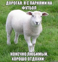 Дорогая, я с парнями на футбол Конечно,любимый, хорошо отдохни:*