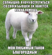 Солнышко, я хочу встретиться со своей бывшей, ей, кажется, нужна помощь мой любимый такой благородный :*