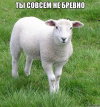 ты совсем не бревно 