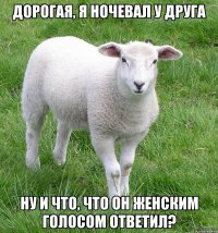 Дорогая, я ночевал у друга Ну и что, что он женским голосом ответил?