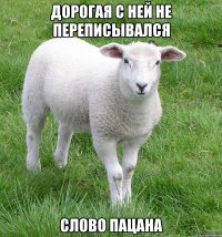 дорогая с ней не переписывался слово пацана