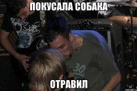 Покусала собака Отравил