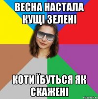 весна настала кущі зелені коти їбуться як скажені