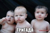  ТРИГАДА