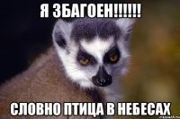 Я збагоен!!!!!! Словно птица в небесах