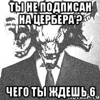 Ты не подписан на цербера ? Чего ты ждешь 6