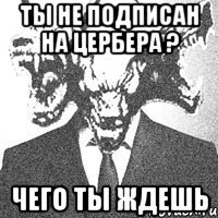 Ты не подписан на цербера ? Чего ты ждешь