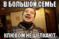 в большой семье клювом не шелкают