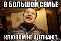 в большой семье клювом не щелкают