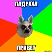 Падруха Привет